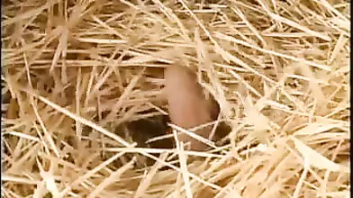 Mature finds a dude in her shed and fucks him