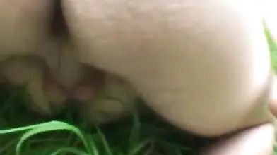 Young sexual deviant picks up and fucks a mature granny