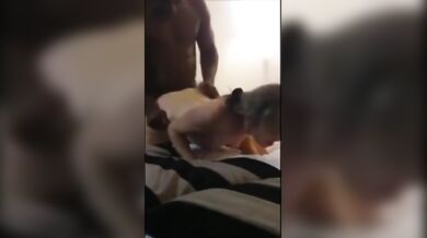 Petite Milf has her pale twat destroyed by black stallion