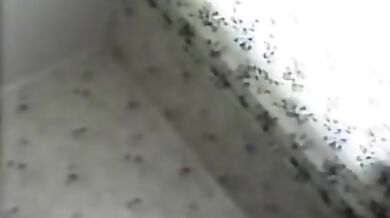 swinger mature wife shared 1 group fun