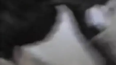 swinger mature wife shared 1 group fun