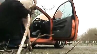 Mature couple have a sex fantasy on the road