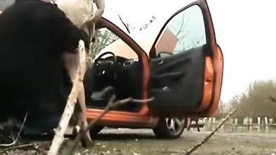 Mature couple have a sex fantasy on the road