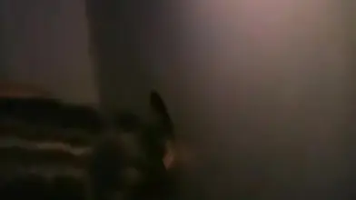 Mature Gloryhole Junkie