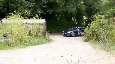 Mature Blonde MILF Ava Austen Enjoys Oral