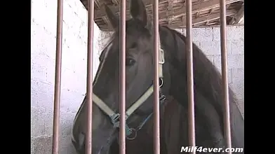 Horny MILF Craves Dick in Her Ass