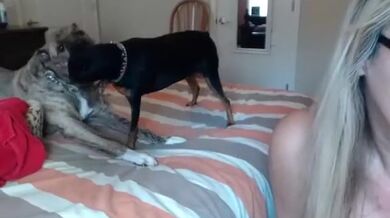 Intimate Backwoodsbeaver Webcam