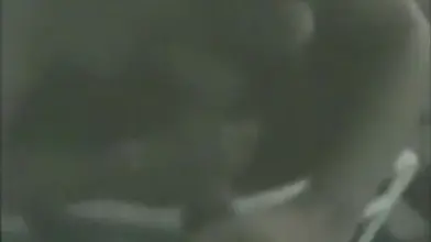 Mature Couples Swap Partners