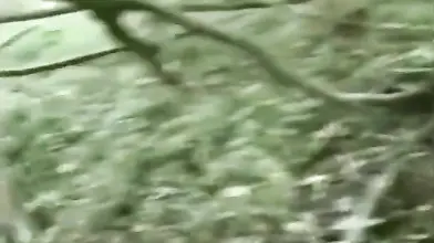 Swinger Wife Fucks Friend in the Forest