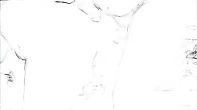 Mature Couple's Passionate Doggy Style