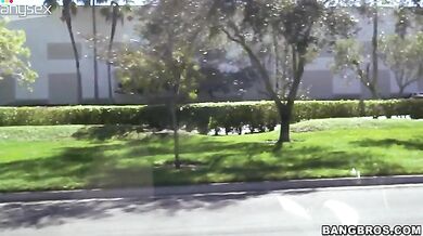 Busty Cougar Gives Head in the Car