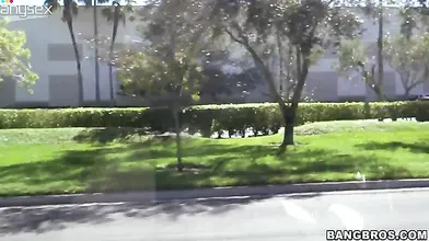 Busty Cougar Gives Head in the Car