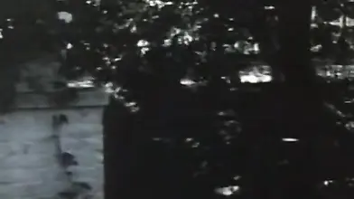 Kinky Mature Woman Seduces Stepson in Bathtub