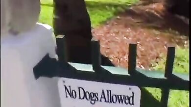 Curvy Latina MILF POV Blowjob