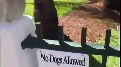 Curvy Latina MILF POV Blowjob