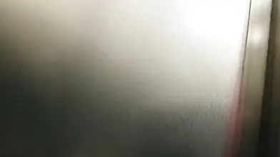 Blonde Cougar Nailed in Elevator