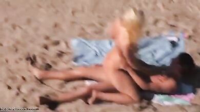 Cougar Pleasures Man on Beach