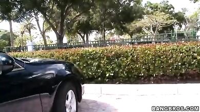 Big Breasted MILF Seduces Horny Guy