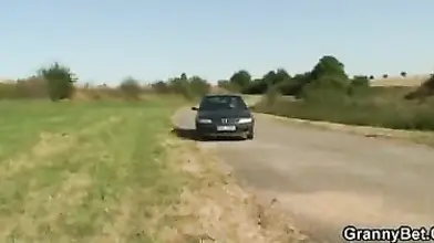 Chubby Granny's Car Smash