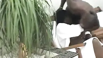 Mature Ebony Granny Takes Monster Cock