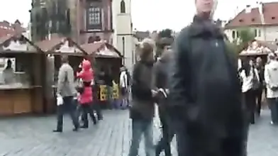 Mature Tourist's Hairy Cunt Filled After Sightseeing