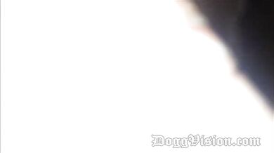 Mature BBWs' Rough Interracial Gangbang