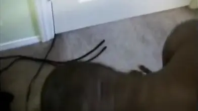 Blonde Mature Wife's Interracial Hardcore