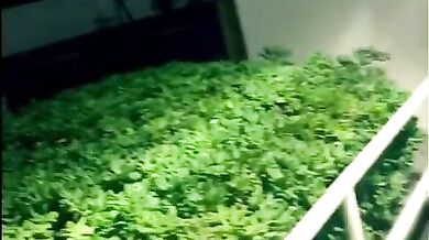 Mature MILF Loves Public POV Blowjobs