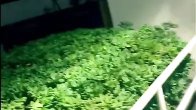 Mature MILF Loves Public POV Blowjobs