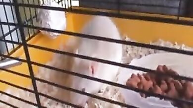 Mature Slut Craves Younger Man