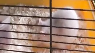 Mature Slut Craves Younger Man