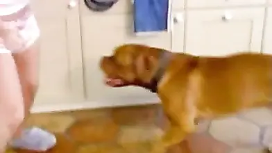 Blonde MILF Turned On By Dog