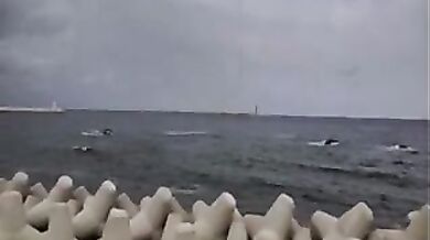 Wife's Hot Mom Fucks Son-in-Law