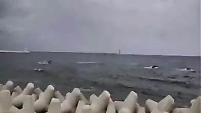 Wife's Hot Mom Fucks Son-in-Law