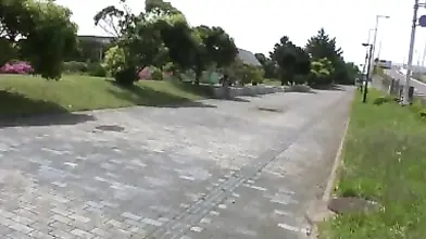 Two Cougars Enjoy Evening Fun