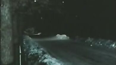 Milfs Have Intimate School Encounter